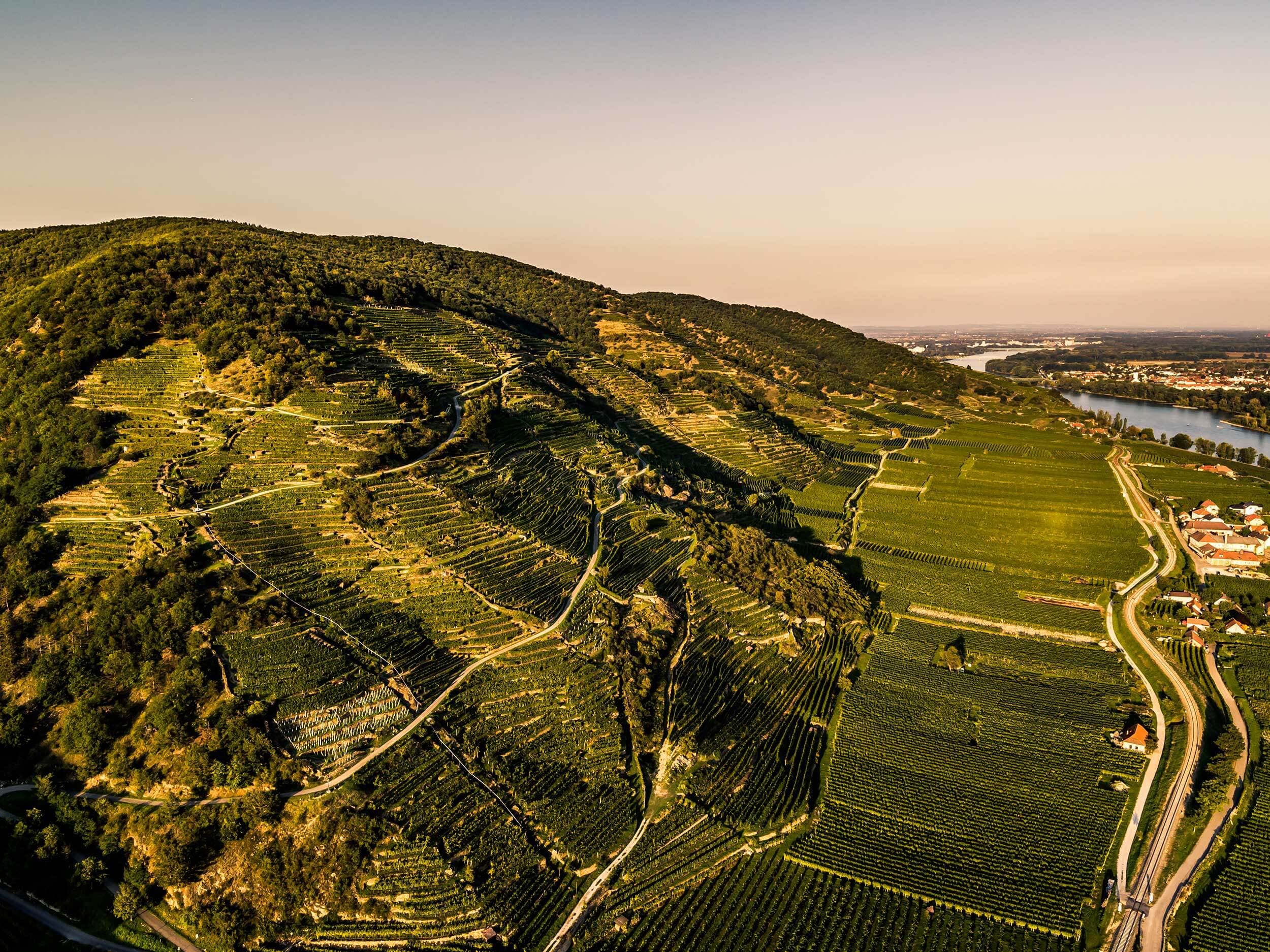 Loibenberg Weinlage Gritsch