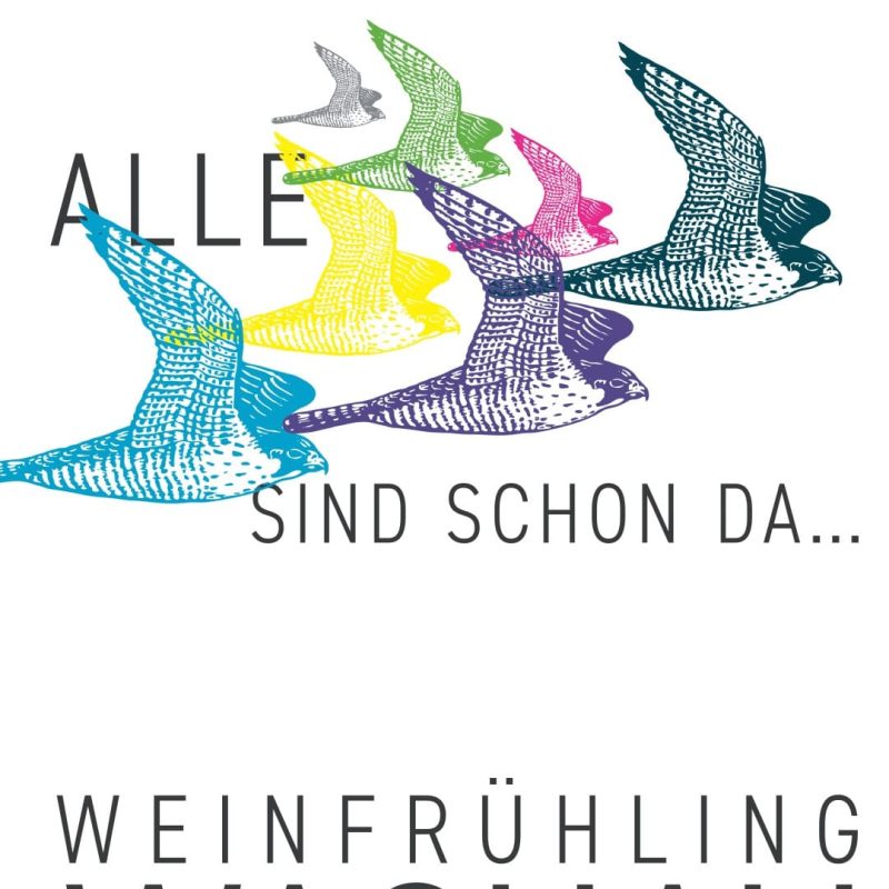 Weinfruehling 2023 Hochformat